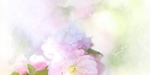 Fiesta de la Primavera