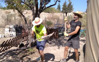 Domingo de labor. El valor de la colaboración.