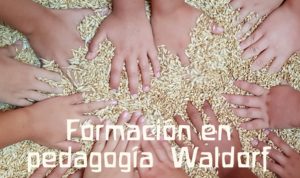 Formación en Pedagogía Waldorf Primaria