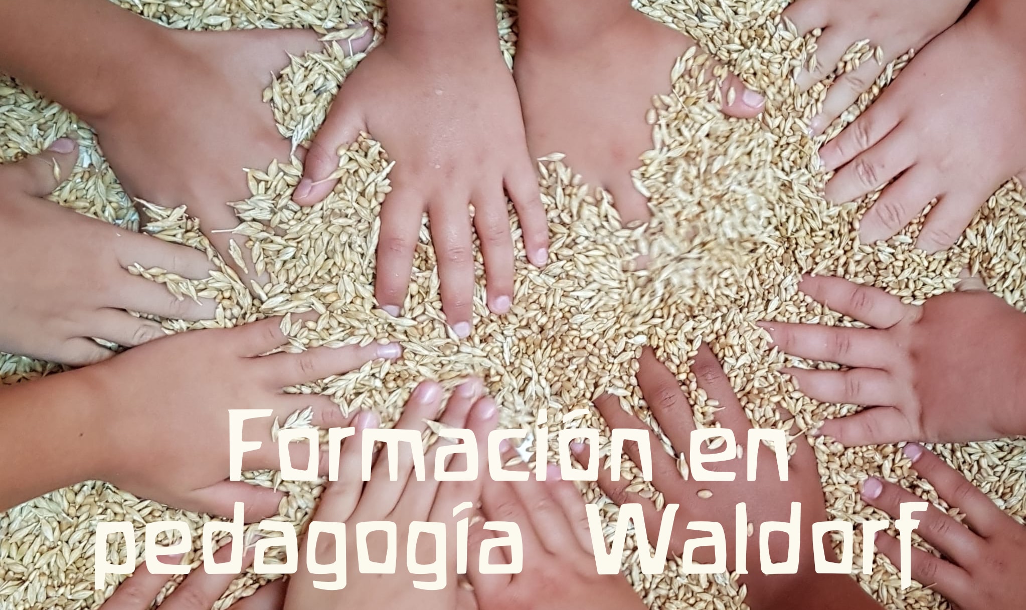 Training in Primary Waldorf Pedagogy